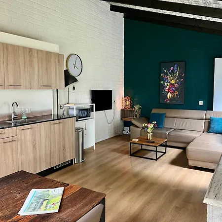 Gehele Zuid-limburg Op Park Appartement *